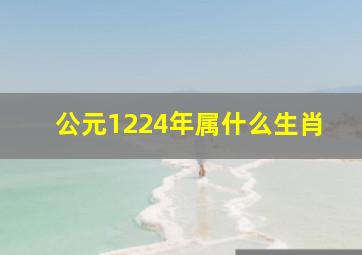 公元1224年属什么生肖