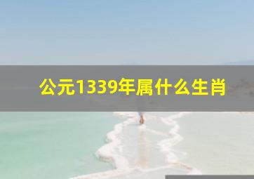 公元1339年属什么生肖