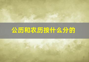 公历和农历按什么分的