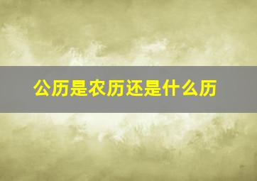 公历是农历还是什么历