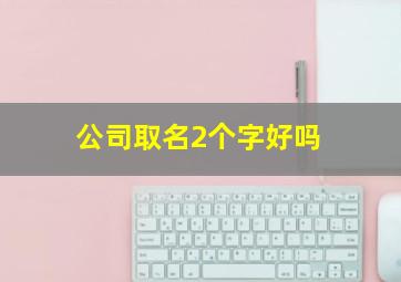 公司取名2个字好吗