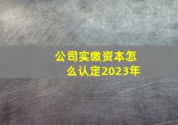 公司实缴资本怎么认定2023年