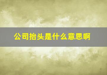 公司抬头是什么意思啊