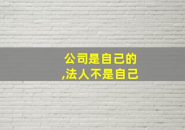 公司是自己的,法人不是自己