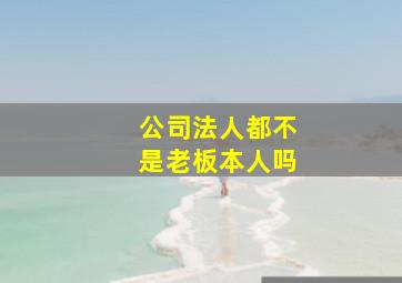 公司法人都不是老板本人吗