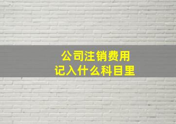 公司注销费用记入什么科目里