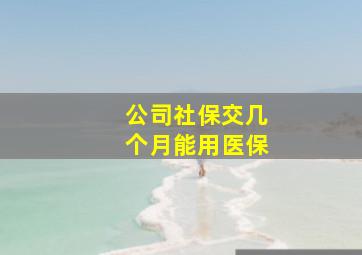 公司社保交几个月能用医保