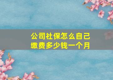 公司社保怎么自己缴费多少钱一个月