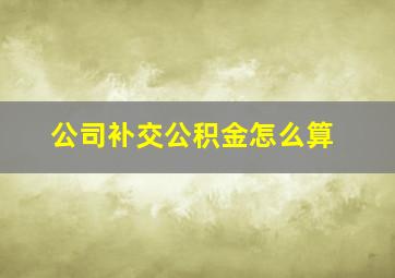 公司补交公积金怎么算