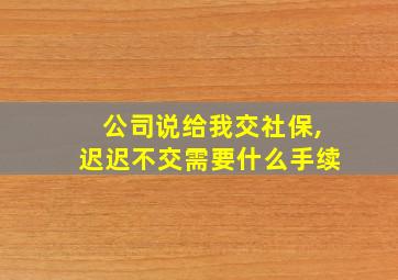 公司说给我交社保,迟迟不交需要什么手续