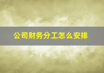 公司财务分工怎么安排