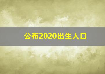 公布2020出生人口