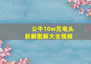 公牛10w充电头拆解图解大全视频