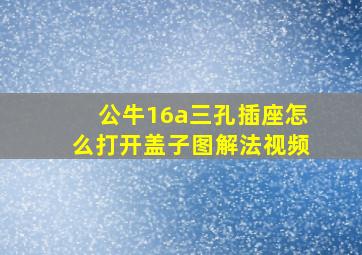 公牛16a三孔插座怎么打开盖子图解法视频