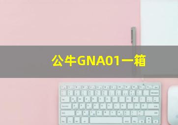 公牛GNA01一箱