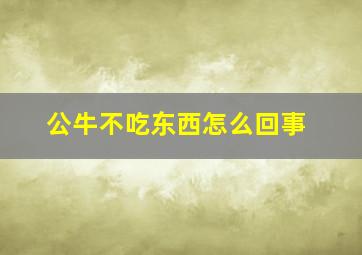 公牛不吃东西怎么回事