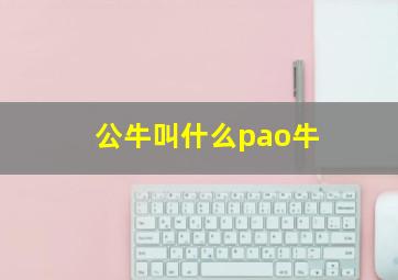 公牛叫什么pao牛