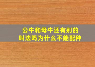 公牛和母牛还有别的叫法吗为什么不能配种