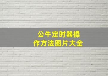 公牛定时器操作方法图片大全