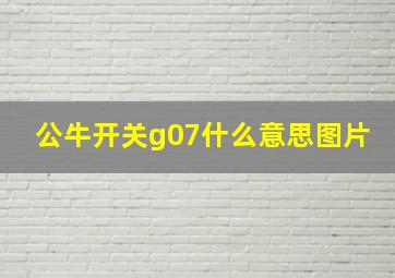 公牛开关g07什么意思图片