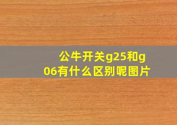 公牛开关g25和g06有什么区别呢图片