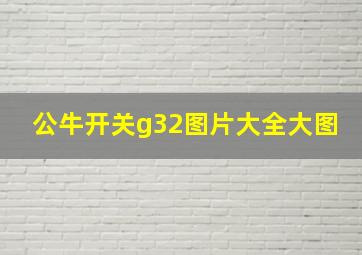 公牛开关g32图片大全大图