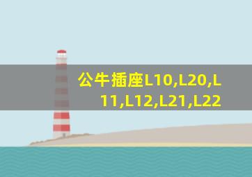 公牛插座L10,L20,L11,L12,L21,L22