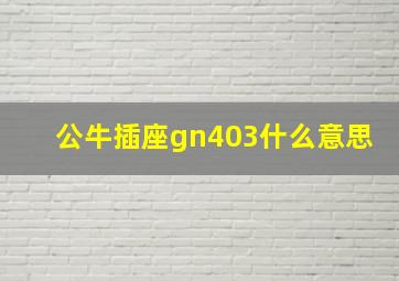 公牛插座gn403什么意思