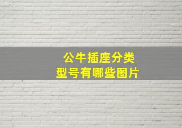 公牛插座分类型号有哪些图片