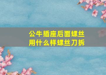 公牛插座后面螺丝用什么样螺丝刀拆