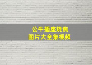 公牛插座烧焦图片大全集视频