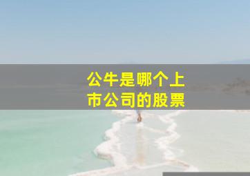 公牛是哪个上市公司的股票