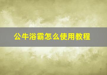 公牛浴霸怎么使用教程