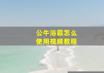 公牛浴霸怎么使用视频教程