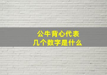 公牛背心代表几个数字是什么