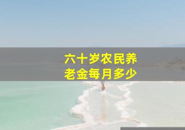 六十岁农民养老金每月多少