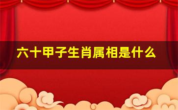 六十甲子生肖属相是什么