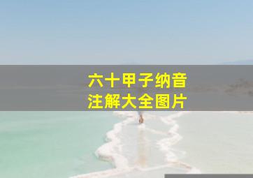 六十甲子纳音注解大全图片