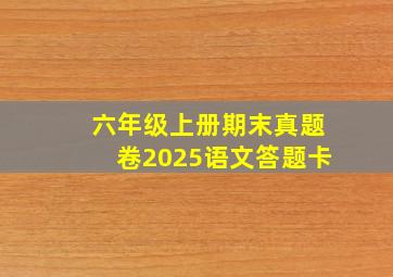 六年级上册期末真题卷2025语文答题卡