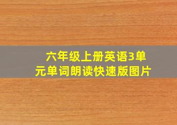 六年级上册英语3单元单词朗读快速版图片