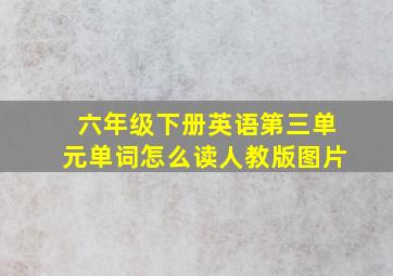 六年级下册英语第三单元单词怎么读人教版图片