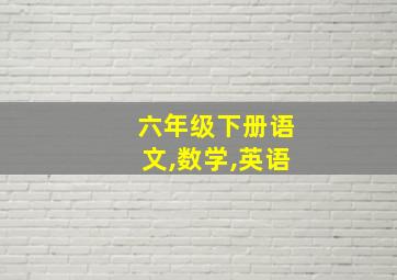 六年级下册语文,数学,英语