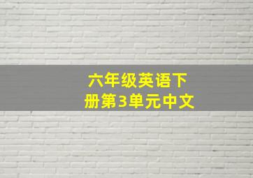 六年级英语下册第3单元中文