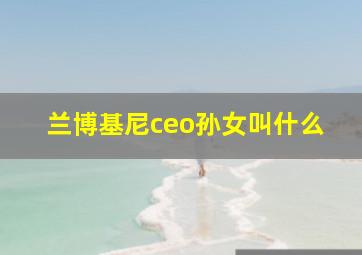 兰博基尼ceo孙女叫什么