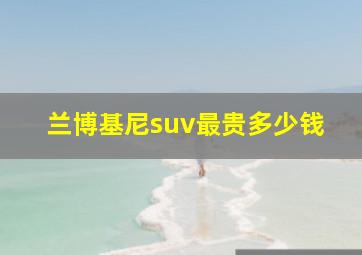 兰博基尼suv最贵多少钱