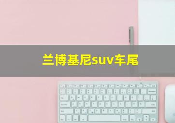 兰博基尼suv车尾