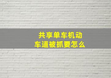 共享单车机动车道被抓要怎么