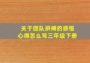 关于团队拼搏的感悟心得怎么写三年级下册