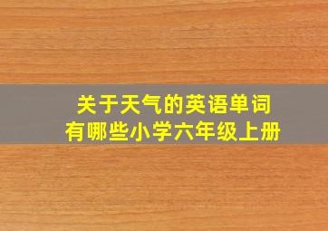 关于天气的英语单词有哪些小学六年级上册