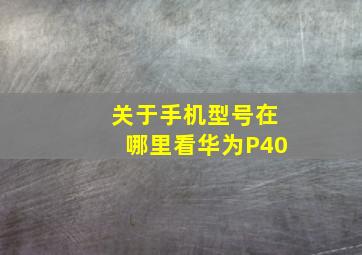 关于手机型号在哪里看华为P40